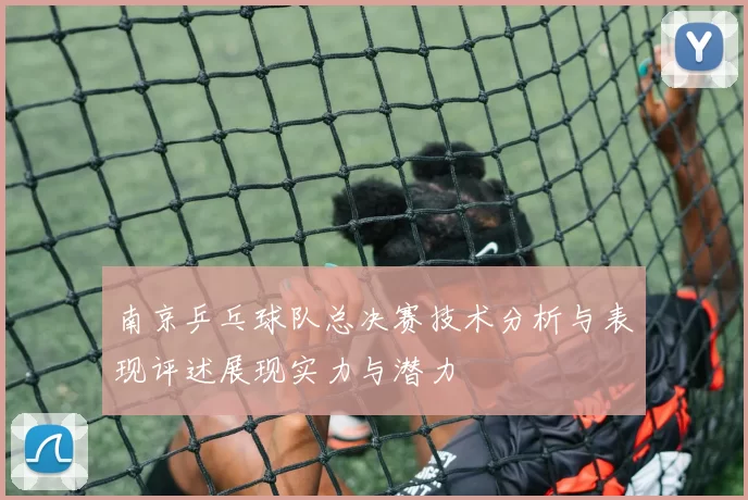 南京乒乓球队总决赛技术分析与表现评述展现实力与潜力