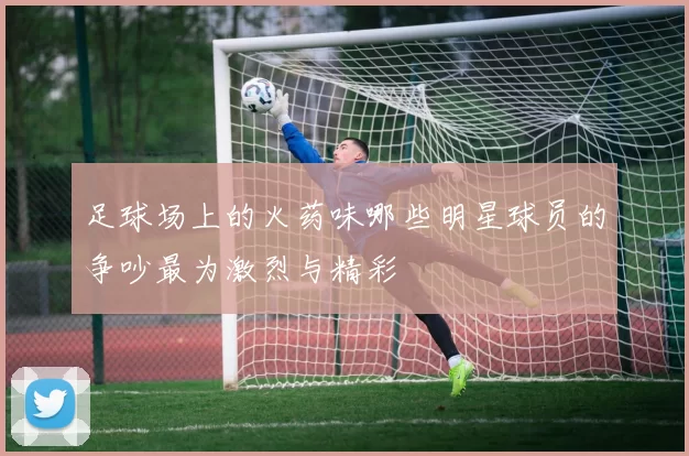 足球场上的火药味哪些明星球员的争吵最为激烈与精彩