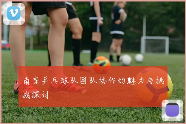 南京乒乓球队团队协作的魅力与挑战探讨