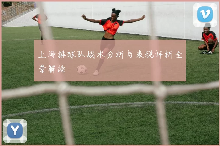 上海排球队战术分析与表现评析全景解读