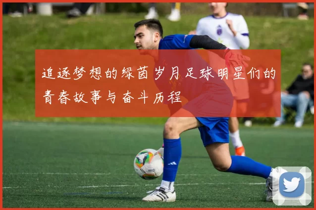追逐梦想的绿茵岁月足球明星们的青春故事与奋斗历程