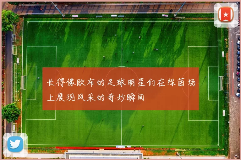 长得像欧布的足球明星们在绿茵场上展现风采的奇妙瞬间