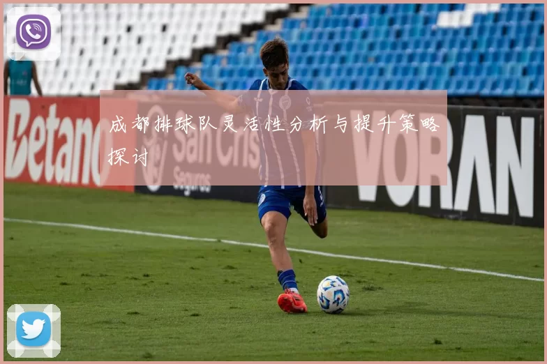 成都排球队灵活性分析与提升策略探讨