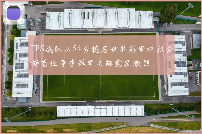 TES战队以54分稳居世界冠军杯积分榜首位争夺冠军之路愈发激烈