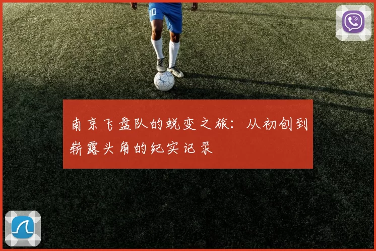 南京飞盘队的蜕变之旅：从初创到崭露头角的纪实记录