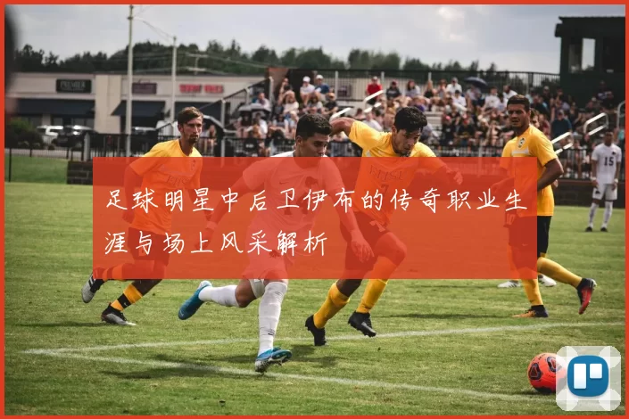 足球明星中后卫伊布的传奇职业生涯与场上风采解析