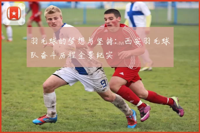 羽毛球的梦想与坚持：西安羽毛球队奋斗历程全景纪实