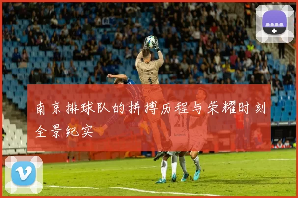 南京排球队的拼搏历程与荣耀时刻全景纪实