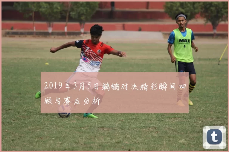 2019年3月5日鹈鹕对决精彩瞬间回顾与赛后分析
