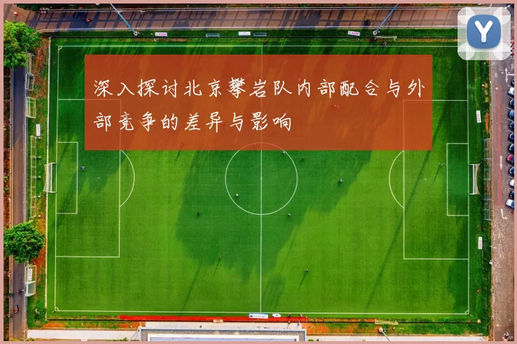 深入探讨北京攀岩队内部配合与外部竞争的差异与影响