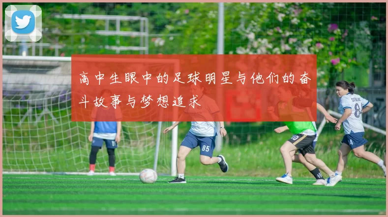 高中生眼中的足球明星与他们的奋斗故事与梦想追求