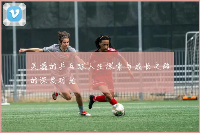 吴磊的乒乓球人生探索与成长之路的深度对话
