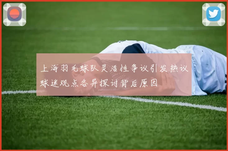 上海羽毛球队灵活性争议引发热议球迷观点各异探讨背后原因
