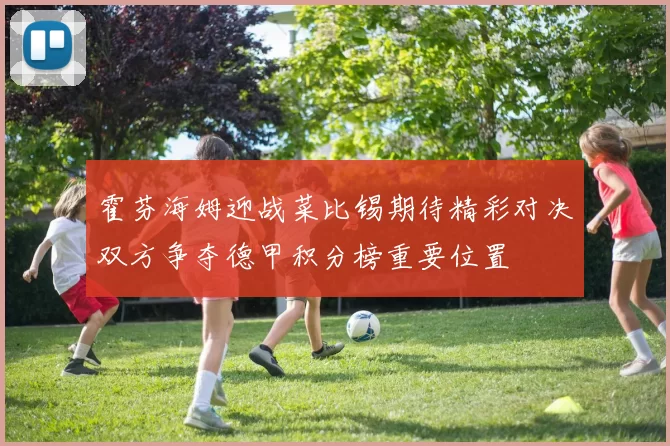 霍芬海姆迎战菜比锡期待精彩对决双方争夺德甲积分榜重要位置