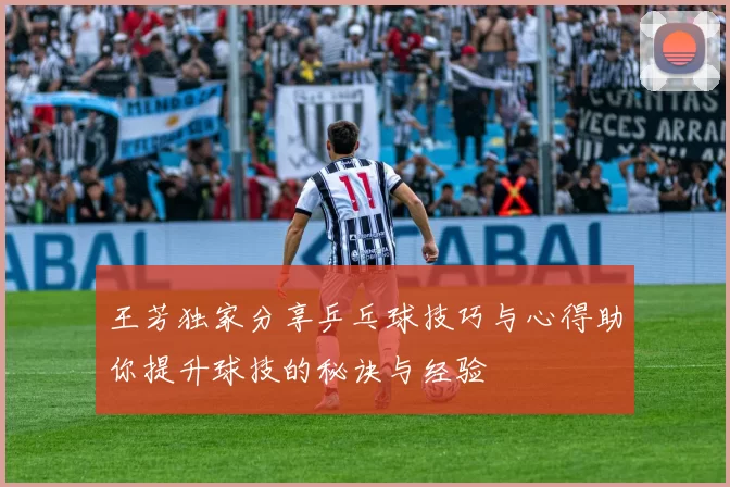 王芳独家分享乒乓球技巧与心得助你提升球技的秘诀与经验