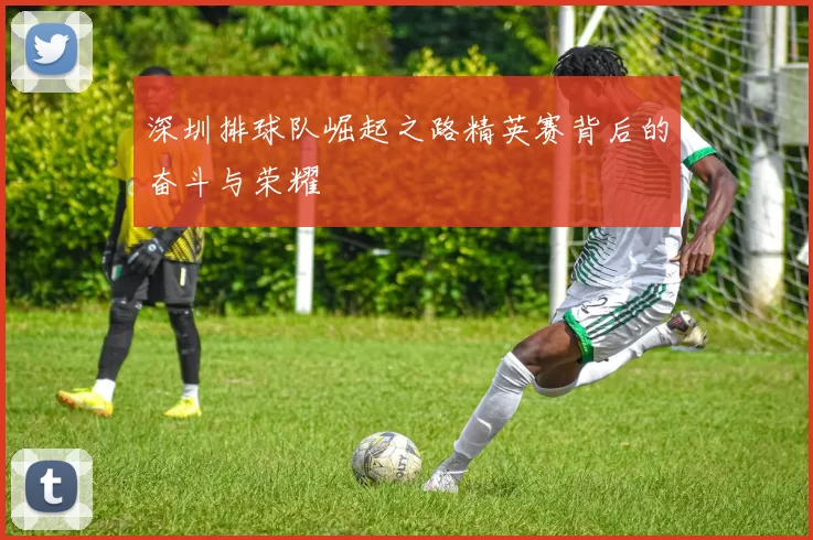 深圳排球队崛起之路精英赛背后的奋斗与荣耀