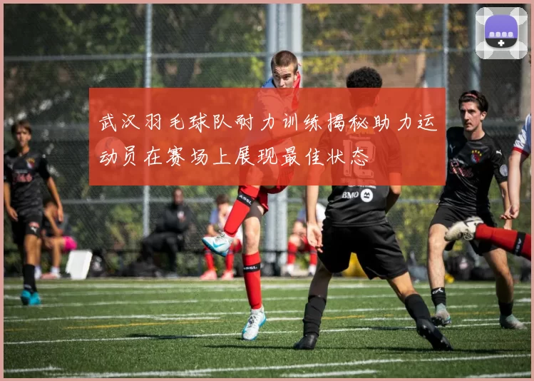 武汉羽毛球队耐力训练揭秘助力运动员在赛场上展现最佳状态