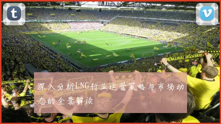 深入分析LNG行业运营策略与市场动态的全景解读