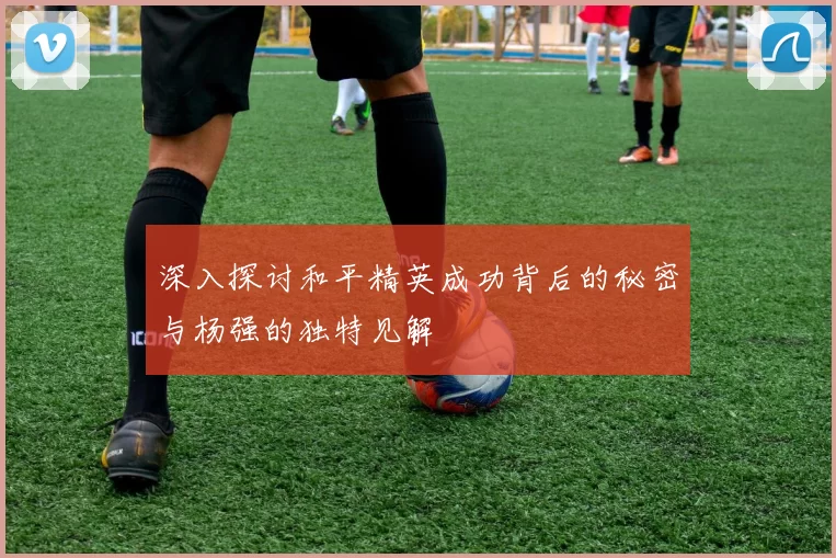 深入探讨和平精英成功背后的秘密与杨强的独特见解