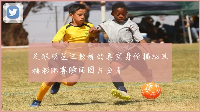 足球明星汪教练的真实身份揭秘及精彩比赛瞬间图片分享