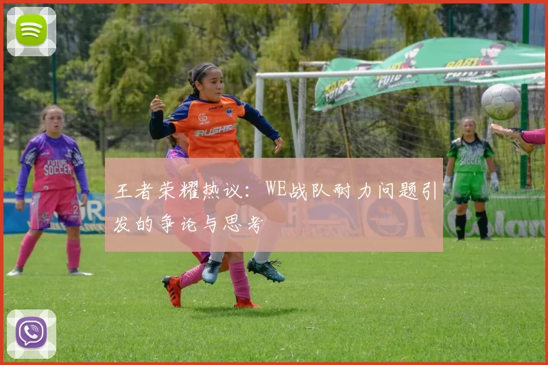 王者荣耀热议：WE战队耐力问题引发的争论与思考