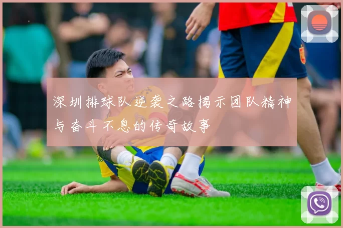 深圳排球队逆袭之路揭示团队精神与奋斗不息的传奇故事