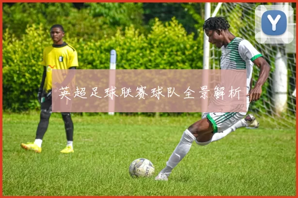 英超足球联赛球队全景解析