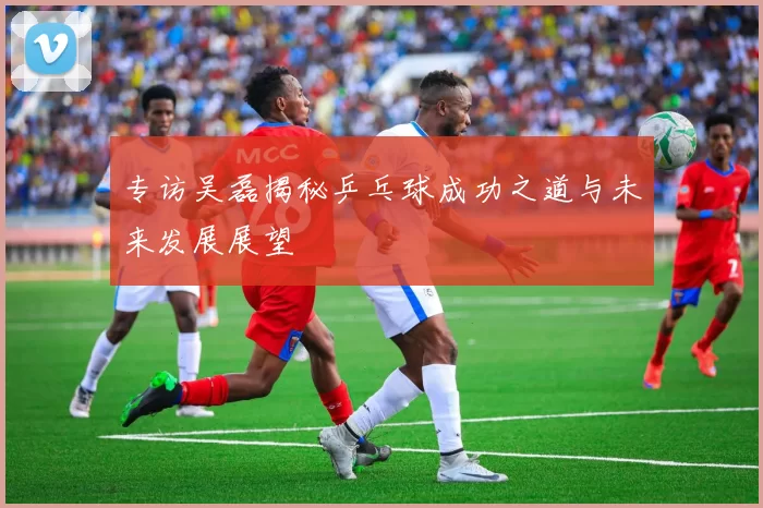 专访吴磊揭秘乒乓球成功之道与未来发展展望