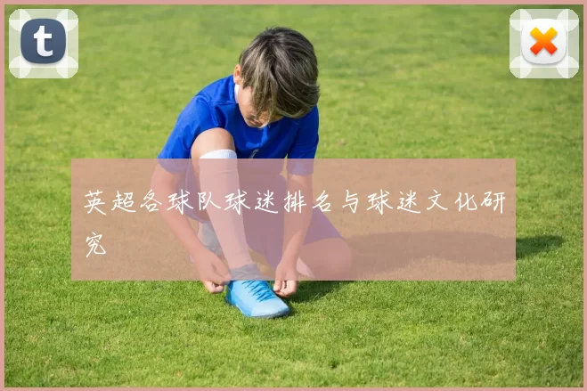 英超各球队球迷排名与球迷文化研究