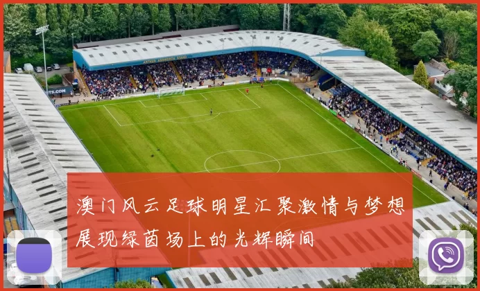 澳门风云足球明星汇聚激情与梦想展现绿茵场上的光辉瞬间