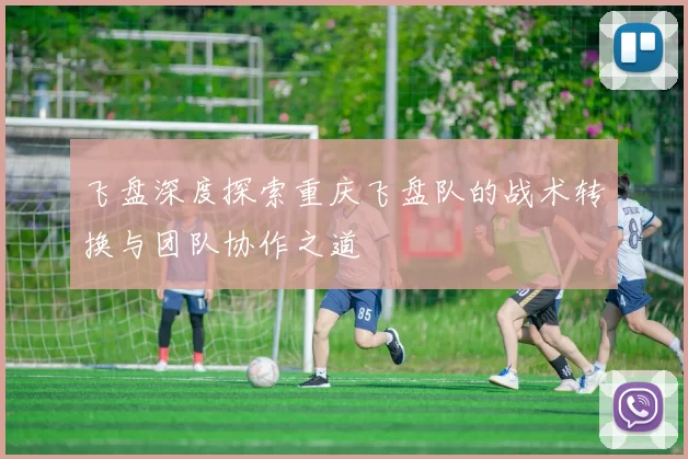 飞盘深度探索重庆飞盘队的战术转换与团队协作之道