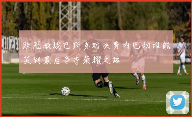 欧冠激战巴斯克对决费内巴切谁能笑到最后争夺荣耀之路