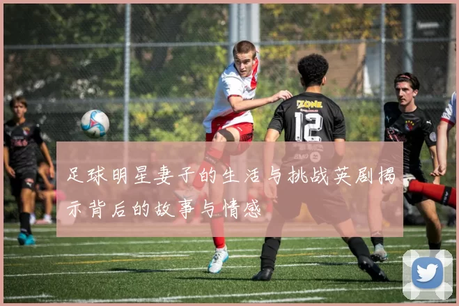 足球明星妻子的生活与挑战英剧揭示背后的故事与情感
