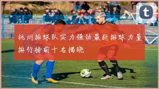杭州排球队实力强劲最新排球力量排行榜前十名揭晓